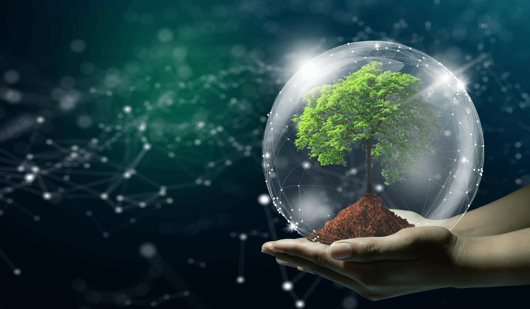 Corporate Digital Responsibility: Nachhaltige Digitalisierung